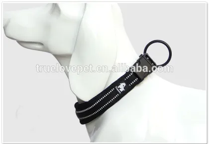 Duraflex Buckle Nylon webbing pet Dog Training Collars