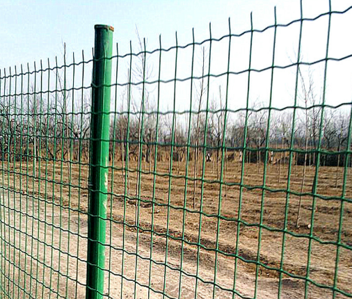 ANPING Factory PVC Coated Holland Wire Mesh Fence สำหรับขาย