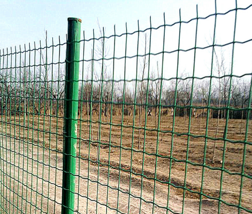 Anping factory PVC coated holland wire mesh fence for sale