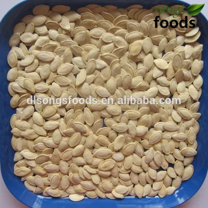 Pumpkin Seeds & Kernels from a Top 100 Companies in Agriculture