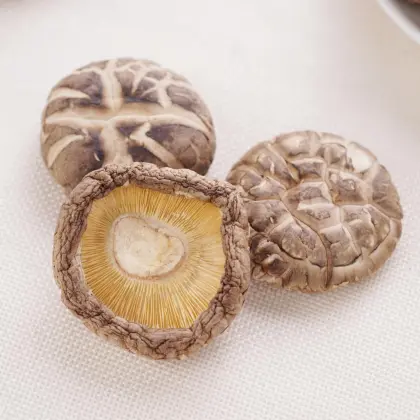 Tea Flower Shiitake Mushroom