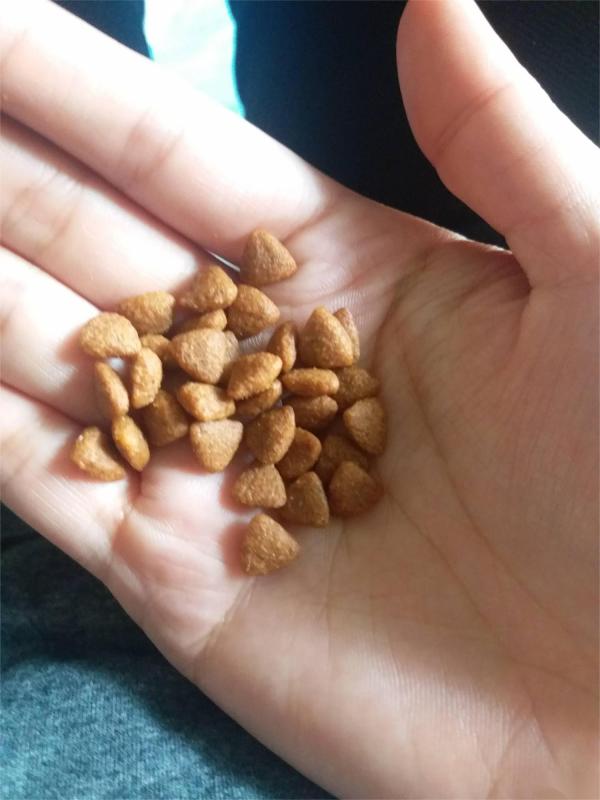 Small Scale Dog Food Machine: Dog Dry Food Making Equipment for Pet Food Production