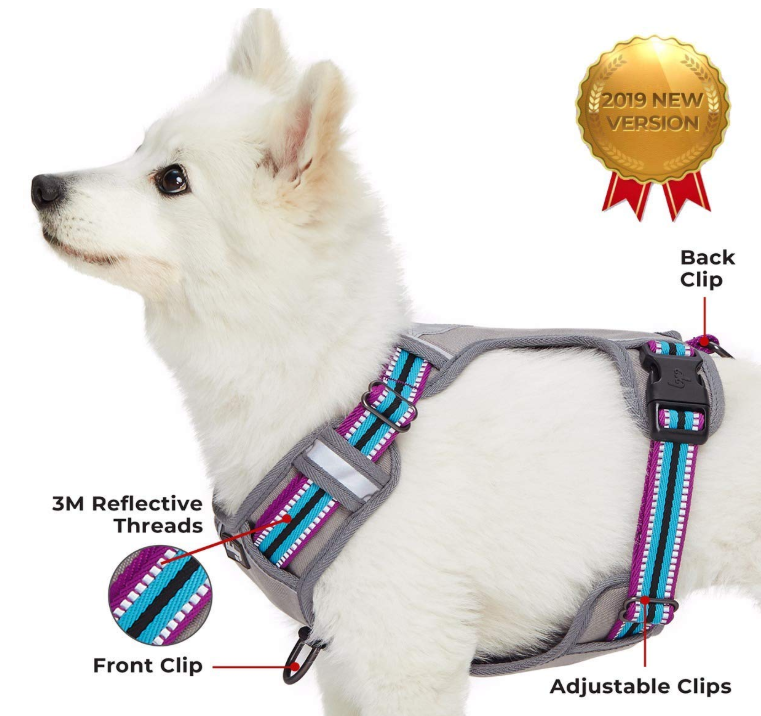 Multi-Colored Stripe Dog Harness