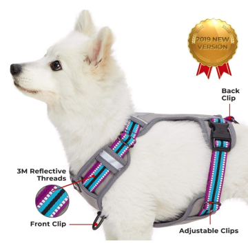 Multi-Colored Stripe Dog Harness