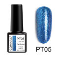 PT05