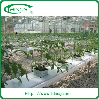 High tech hydroponics greenhouse for sale