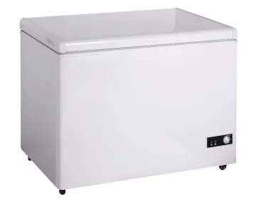 DC-160F 160 Liters DC FRIDGE FREEZER 12v 24v DC solar freezer