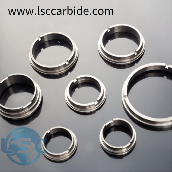 High Corrosion Resistance Custom Carbide Seal Rings