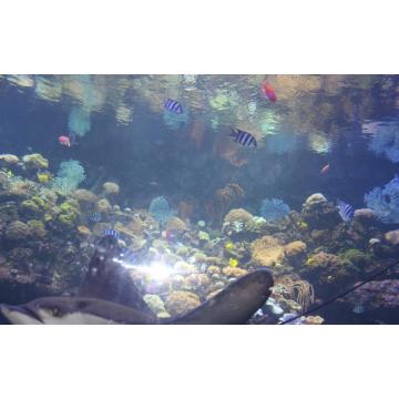 Luz de la tierra marina LED Aquarium Light 2022