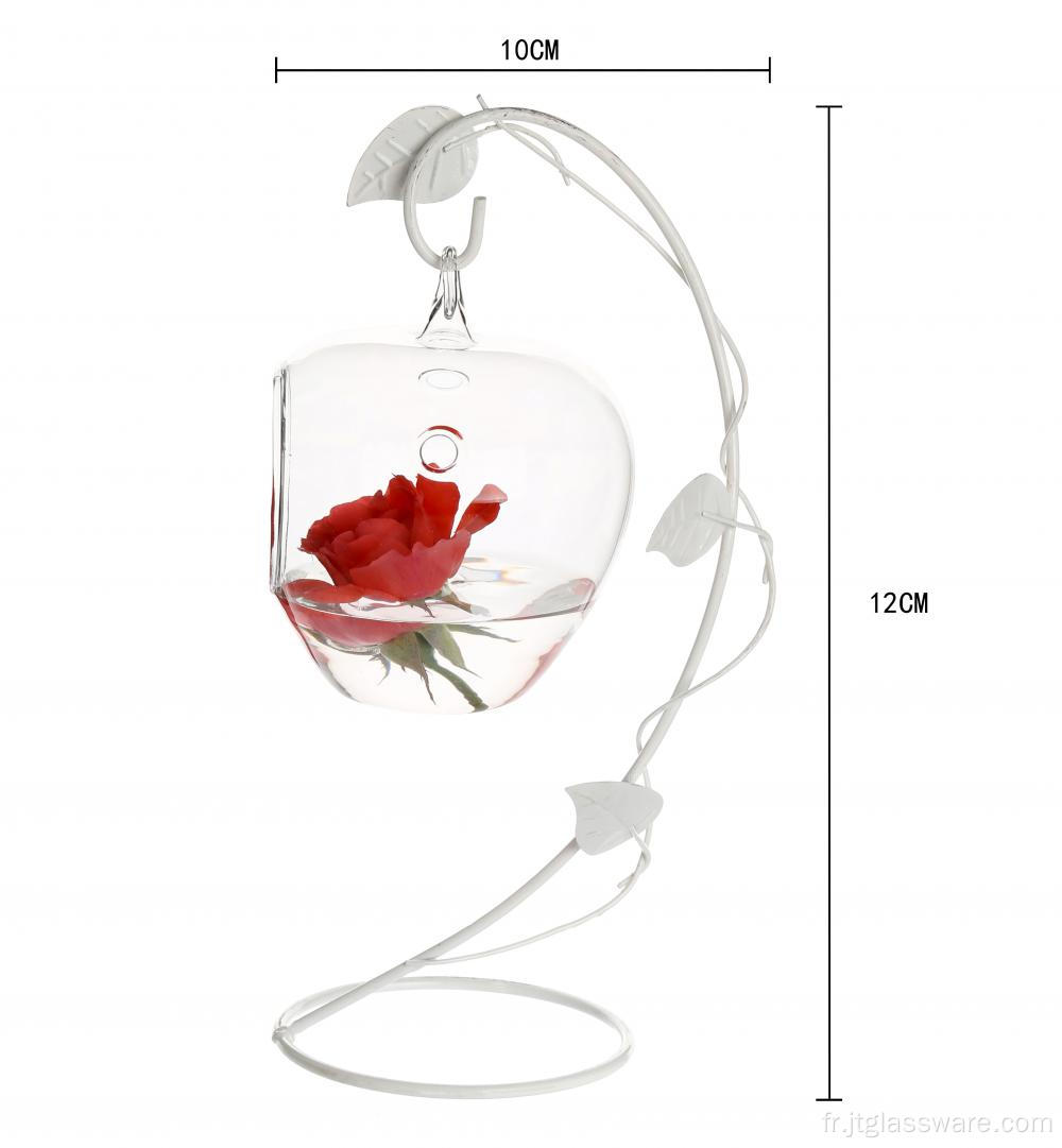 Orbe en forme de pomme en verre suspendu pour toutes les plantes vertes