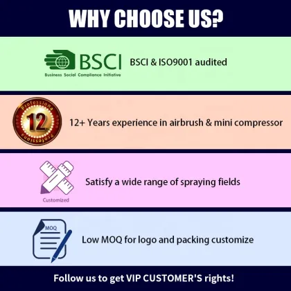 Portable Airbrush Tanning System with Compressor for Mobile Spray Tanning