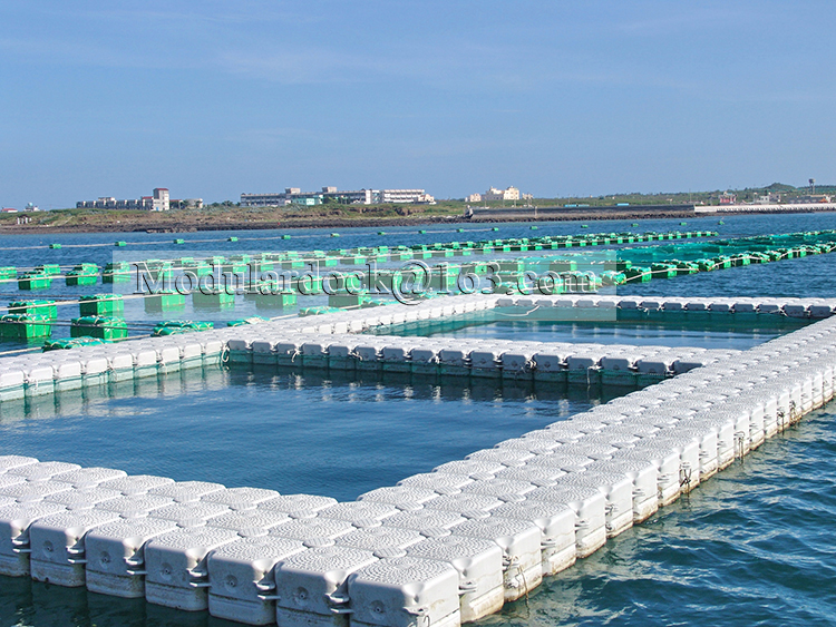 Fish Farming Platform Aquaculture Fish Farming Cages - Innovative Aquatic Solutions, High ...