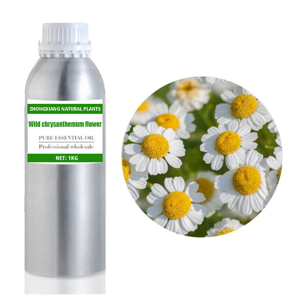 Huile essentielle de chrysanthème sauvage naturel en gros