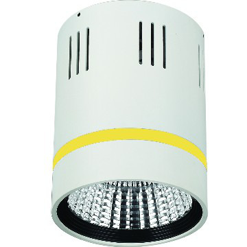 12W/17W/22W/42W surface mounted cob down light for air pot decoration