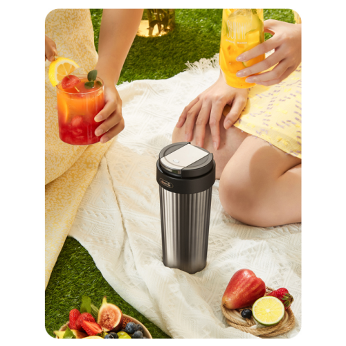 Deerma juicer handheld portable custom professional blender