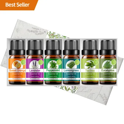 Natural Sweet Citrus and Herb Essential Oil Kit