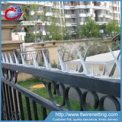 Anping wholesale security wall razor wire fence spikes,anping county wall spikes
