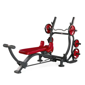 Triceps Bench Plate Loaded