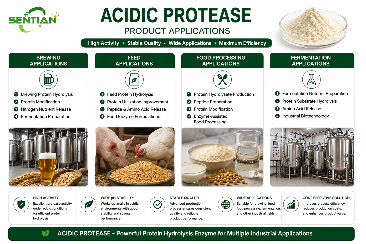 Acidic Protease2