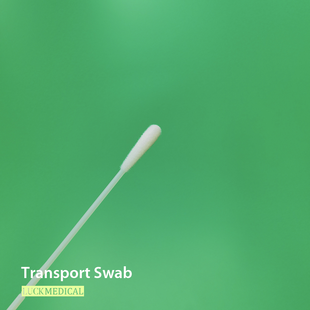 Swab da cultura bacteriana oral no tubo