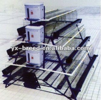 complete galvanzied poultry equipment of chickens