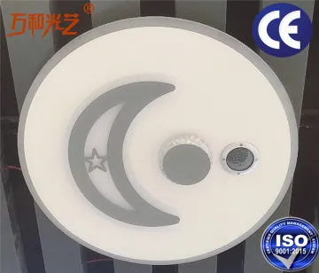 LED kitchen ceiling lamp with water leakage alarm