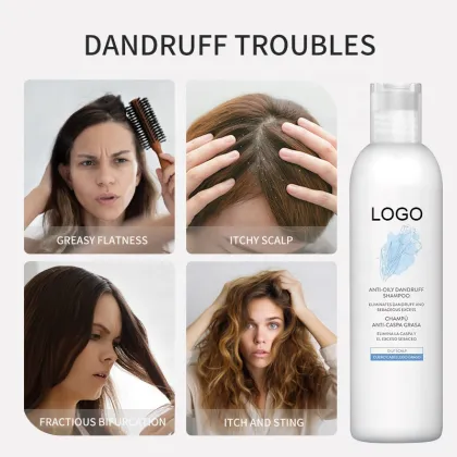 China Manufacturer Good Quality Anti-Oily Dandruff Remover Shampoo for Professional Salons