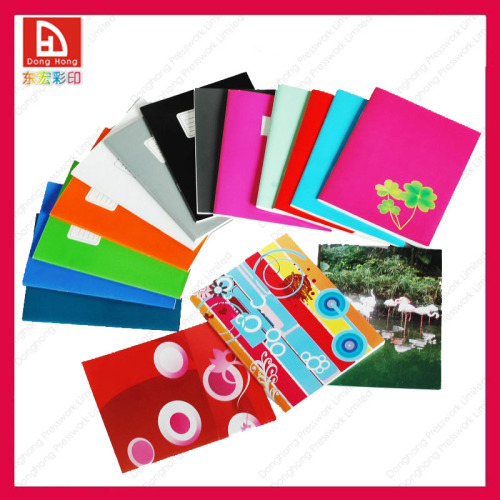 OEM Promotional Notebook/Agenda Notebook/Organizer Notebook (001163)