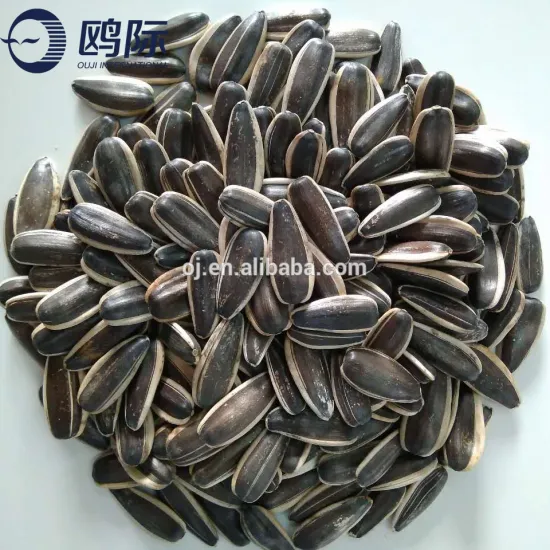 Factory direct wholesale price sunflower seeds