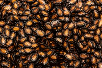 Watermelon Seeds Snacks