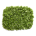 high quality Freeze Dried Green Chive