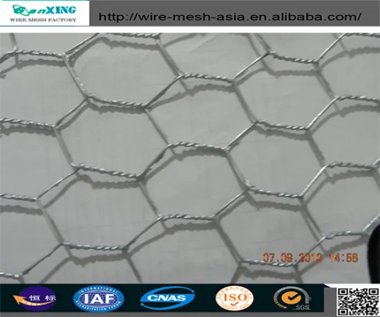 ANPING factory supply good quality plant protection hexagonal wire mesh