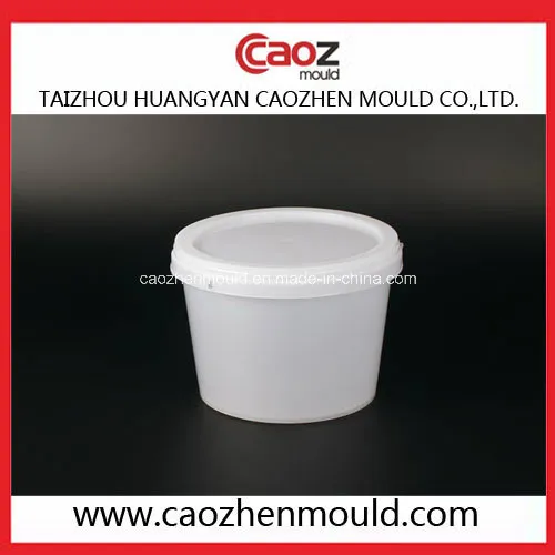 Plastic Leak Proof/Sealed Paint Bucket Mould