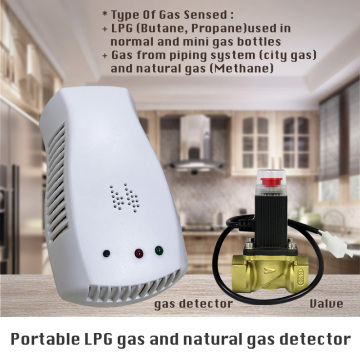 El detector de gas LPG de nuevo diseño se puede conectar con el detector de fugas de gas de la válvula