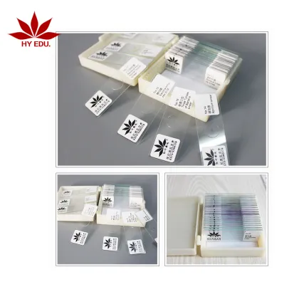 Microscope Slide Kit: Fungi and Bacteria for Higher Education