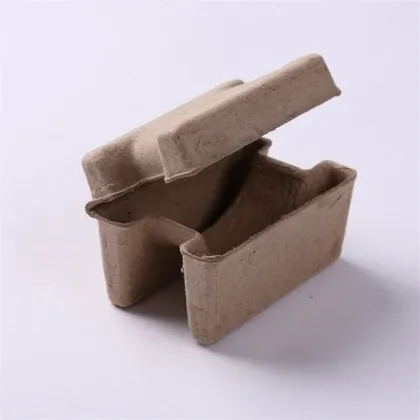 Molded Electronic Tray Pulp Moulding Watch Packaging