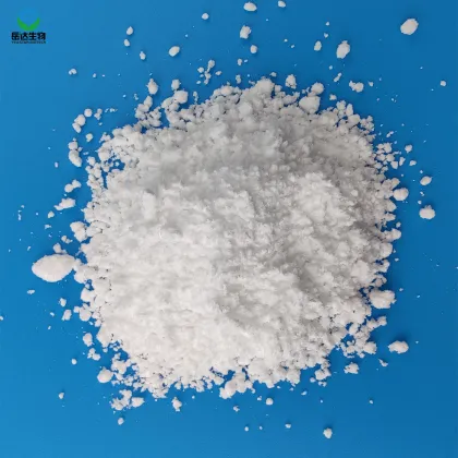 Factory Direct Best Price on Creatine Monohydrate Supplement: High-Quality Creatine Powder