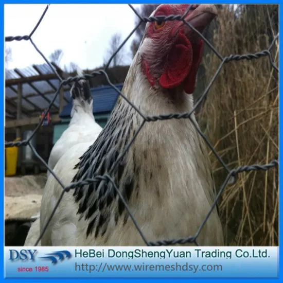 galvanized hexagonal twisted mesh