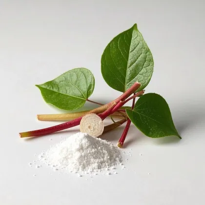 Houttuynia cordata extract supply