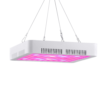 LED Dimmable High Efficiency Indoor Grow Light for Vertical Farming and Crop Cultivation
