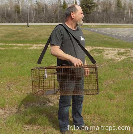 Sangle de piège à cage animal vivant facile à transporter