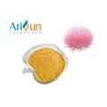 UV20%-95% Milk Thistle Extract Powder Silymarin/Silybin