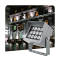 Schmale Strahl architektonische Outdoor IP67 LED Flood Light