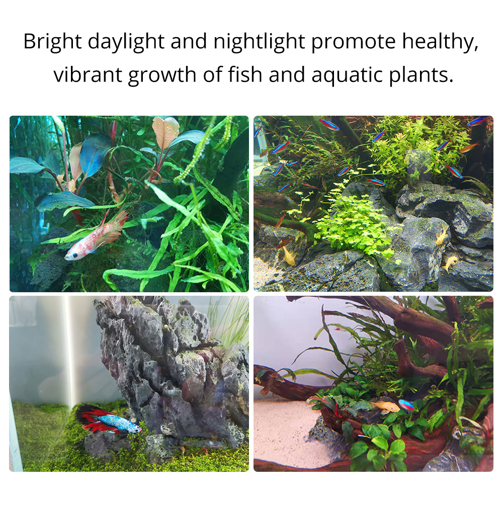 مياه العذبة LED Aquarium Liting Lighting Fish Light Light