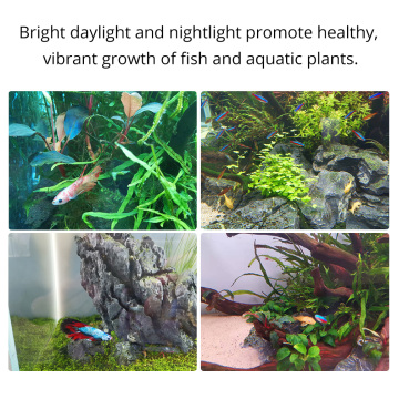 Luz de iluminação de iluminação de aquário de água doce