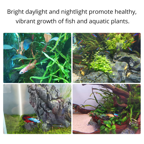Пресноводный светодиодный аквариум -вытяжка с рыбным аквариумом.
