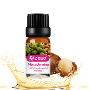 Macadamia orgânica natural pura Óleo prensado a frio OEM OEM ODM Macadamia Nut Argan Oil Oil