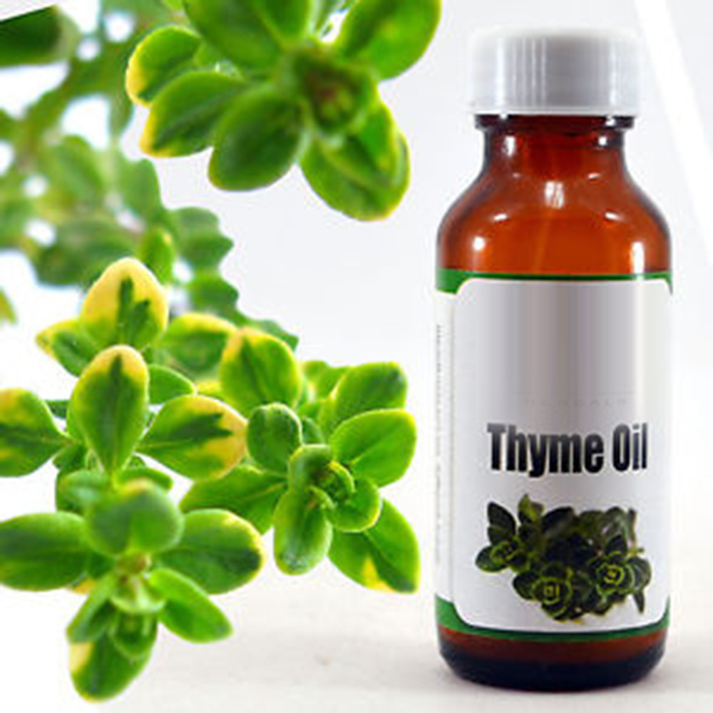 Thyme Oil