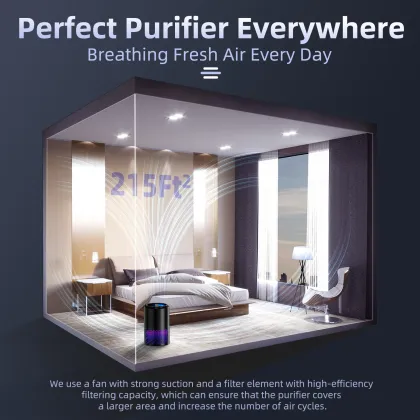 DOUHE OEM Factory Manufacturer Custom Tuya WiFi Control Smart Portable Mini Air Purifier
