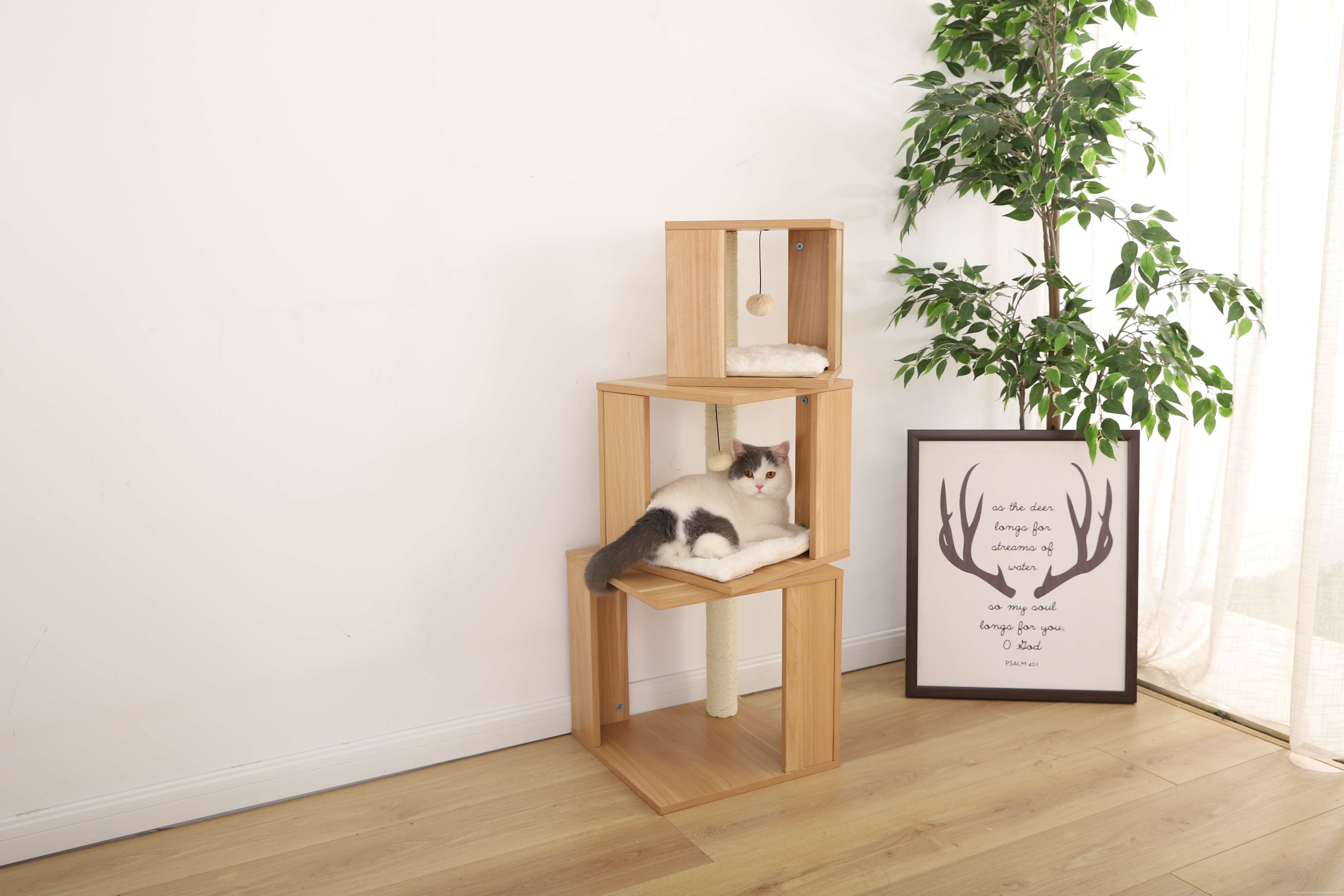 360 Degree Rotating Boxes Adequate Space Cat Furniture